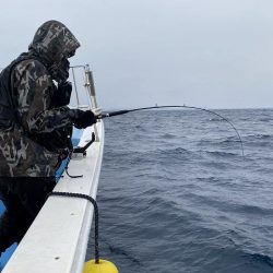 三吉丸 釣果