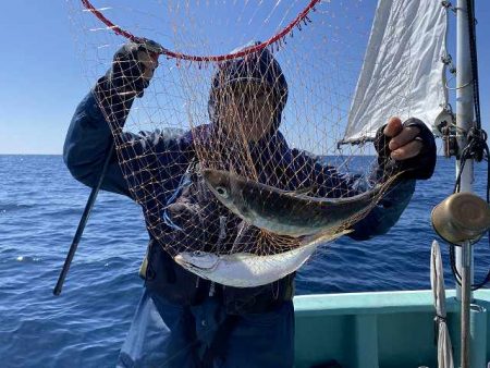三吉丸 釣果