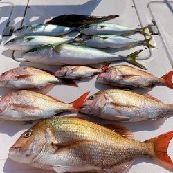 フィシングボートAir(エアー) 釣果