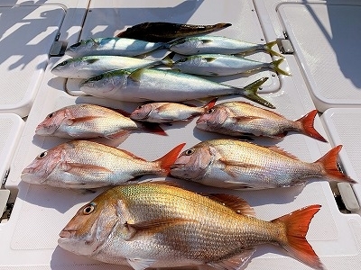 フィシングボートAir(エアー) 釣果