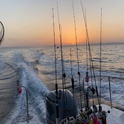 フィシングボートAir(エアー) 釣果