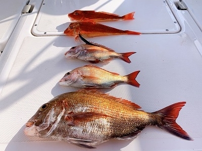 フィシングボートAir(エアー) 釣果