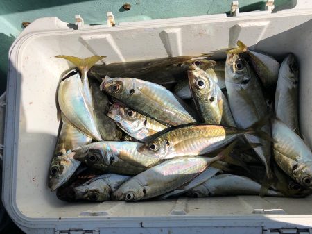 深川 吉野屋 釣果