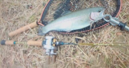 志高湖フィッシング 釣果