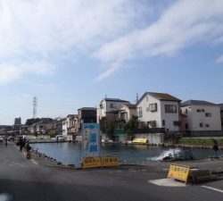 朝霞ガーデン 釣果