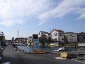 朝霞ガーデン 釣果