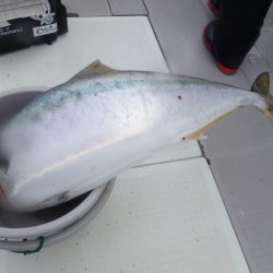 Aquanaut（アクアノート） 釣果