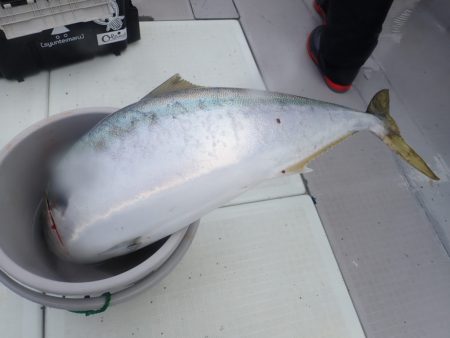 Aquanaut（アクアノート） 釣果