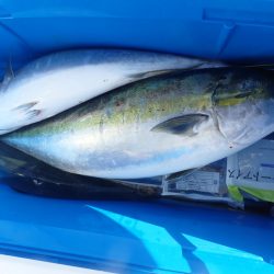 Aquanaut（アクアノート） 釣果