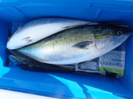 Aquanaut（アクアノート） 釣果