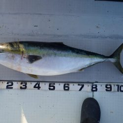 Aquanaut（アクアノート） 釣果