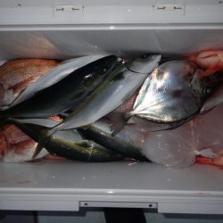 Aquanaut(アクアノート) 釣果