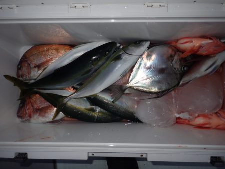 Aquanaut(アクアノート) 釣果