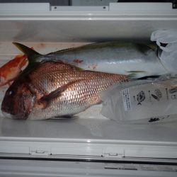 Aquanaut(アクアノート) 釣果