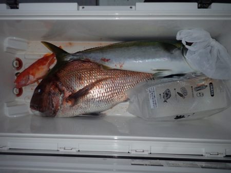 Aquanaut(アクアノート) 釣果