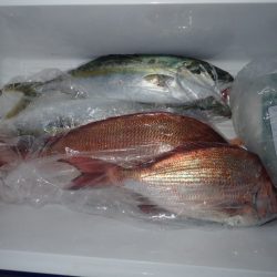 Aquanaut(アクアノート) 釣果