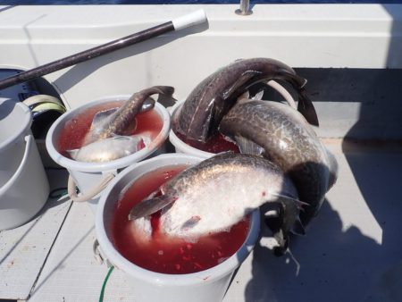 Aquanaut(アクアノート) 釣果