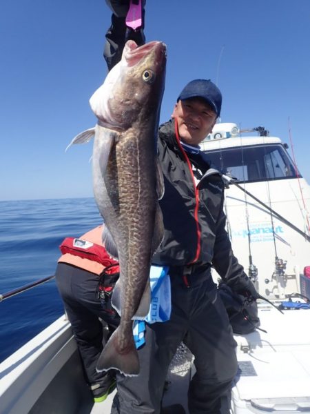 Aquanaut(アクアノート) 釣果