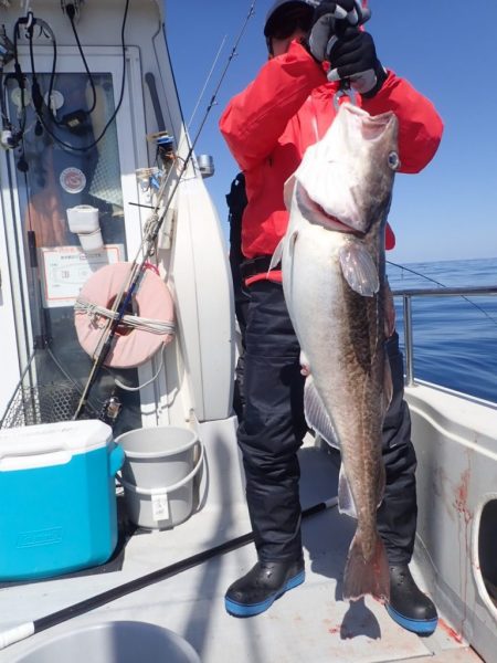 Aquanaut(アクアノート) 釣果