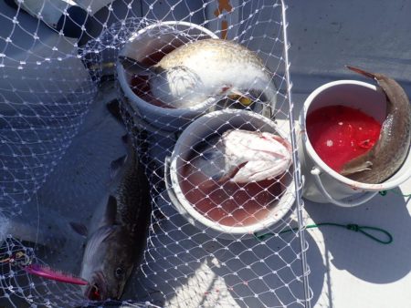 Aquanaut(アクアノート) 釣果