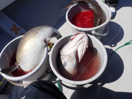 Aquanaut(アクアノート) 釣果