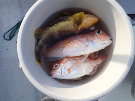 Aquanaut(アクアノート) 釣果