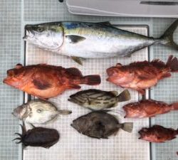 さぶろう丸 釣果