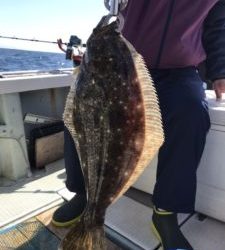 さぶろう丸 釣果