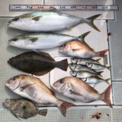 さぶろう丸 釣果