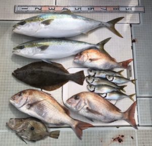 さぶろう丸 釣果