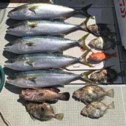 さぶろう丸 釣果