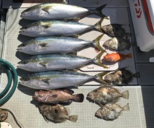 さぶろう丸 釣果