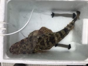 さぶろう丸 釣果