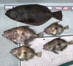 さぶろう丸 釣果