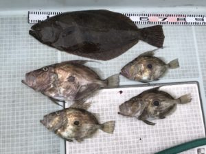 さぶろう丸 釣果