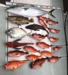 さぶろう丸 釣果
