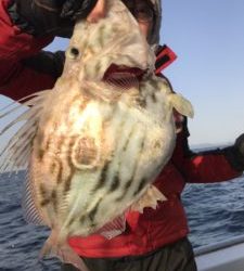 さぶろう丸 釣果