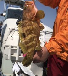 さぶろう丸 釣果