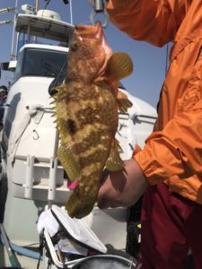 さぶろう丸 釣果