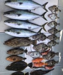 さぶろう丸 釣果