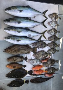 さぶろう丸 釣果