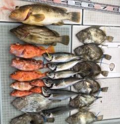 さぶろう丸 釣果