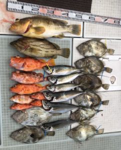 さぶろう丸 釣果