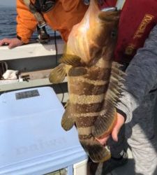 さぶろう丸 釣果