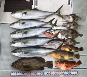 さぶろう丸 釣果