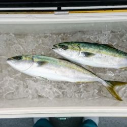 火遠理丸(ほおりまる) 釣果