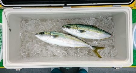 火遠理丸(ほおりまる) 釣果