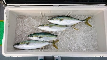 火遠理丸(ほおりまる) 釣果