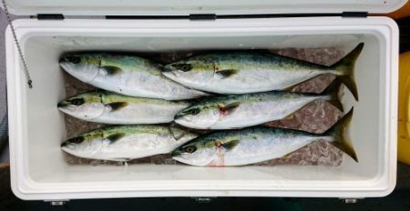 火遠理丸(ほおりまる) 釣果