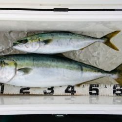 火遠理丸(ほおりまる) 釣果